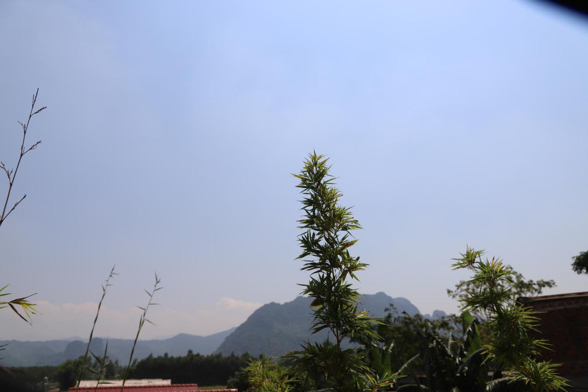 Phong Nha Friendly Home エクステリア 写真